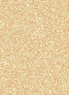10453_壁紙_綜合