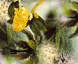 位圖 寫意花卉 植物 花朵 免費素材