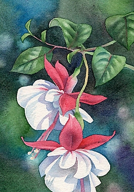 位圖 寫意花卉 植物 花朵 免費(fèi)素材