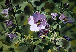 位圖 寫(xiě)意花卉 植物 花朵 免費(fèi)素材