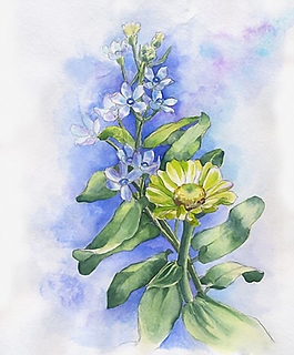 位圖 寫意花卉 植物 花朵 雛菊 免費(fèi)素材