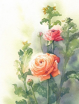 位圖 寫意花卉 植物 花朵 免費素材