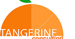 Tangerine_Consulting logo設(shè)計欣賞 Tangerine_Consulting服務(wù)公司LOGO下載標(biāo)志設(shè)計欣賞