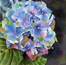 位圖 寫意花卉 植物 花朵 免費(fèi)素材