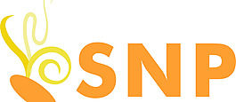 SNP-Soluciones_Nuevas_Posibilidades- logo設(shè)計(jì)欣賞 SNP-Soluciones_Nuevas_Posibilidades-服務(wù)公司標(biāo)志下載標(biāo)志設(shè)計(jì)欣賞