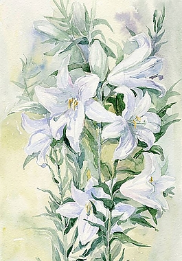 位圖 寫意花卉 植物 花朵 免費(fèi)素材