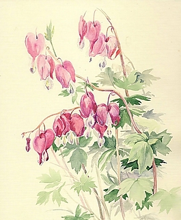位圖 寫意花卉 植物 花朵 免費(fèi)素材