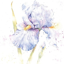 位圖 寫意花卉 植物 花朵 免費素材