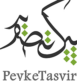 PeykeTasvir__ logo設計欣賞 PeykeTasvir__服務行業(yè)LOGO下載標志設計欣賞