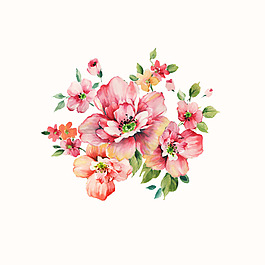 位圖 psd 植物 花朵 免費(fèi)素材
