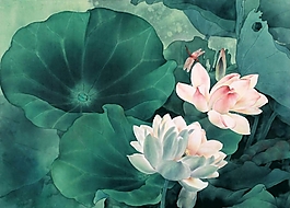 位圖 寫意花卉 植物 花朵 免費(fèi)素材