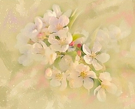 位圖 寫意花卉 植物 花朵 免費素材