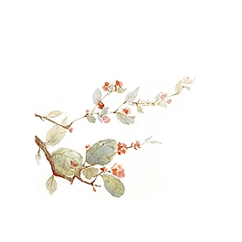 位圖 寫意花卉 植物 花朵 免費素材