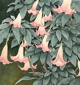 位圖 寫意花卉 植物 花朵 免費(fèi)素材