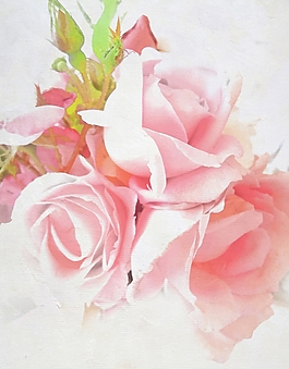 位圖 寫意花卉 植物 花朵 免費素材