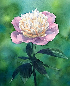位圖 寫意花卉 植物 花朵 免費素材