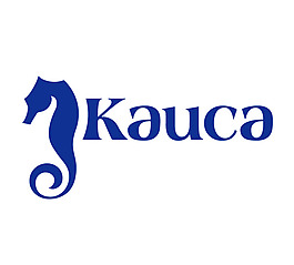 Kaisa logo設(shè)計欣賞 Kaisa服務(wù)公司標(biāo)志下載標(biāo)志設(shè)計欣賞