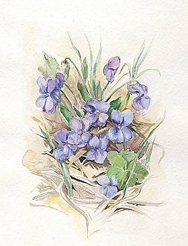 位圖 寫(xiě)意花卉 植物 花朵 免費(fèi)素材