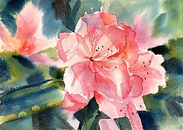 位圖 寫(xiě)意花卉 植物 花朵 免費(fèi)素材
