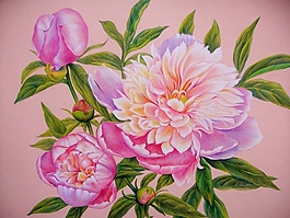 位圖 寫(xiě)意花卉 植物 花朵 免費(fèi)素材