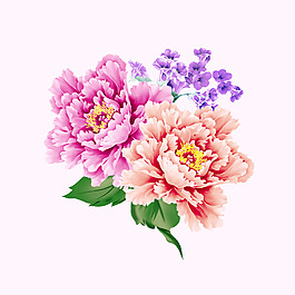 位圖 psd 植物 花朵 pop原創(chuàng) 免費素材