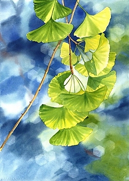 位圖 寫意花卉 植物 花朵 免費(fèi)素材