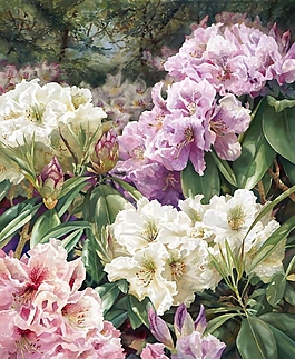 位圖 寫意花卉 植物 花朵 免費(fèi)素材