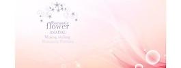 韓國花紋矢量圖下載093