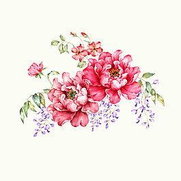 位圖 psd 植物 花朵 免費素材