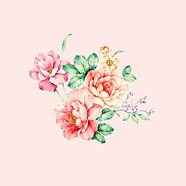 位圖 psd 植物 花朵 免費(fèi)素材