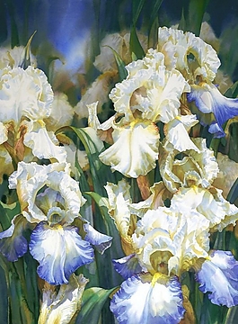 位圖 寫意花卉 植物 花朵 免費素材