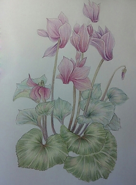 位圖 寫意花卉 植物 花朵 免費(fèi)素材