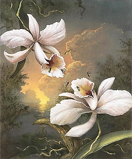 位圖 寫意花卉 植物 花朵 免費(fèi)素材
