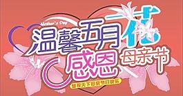母親節(jié)   感恩