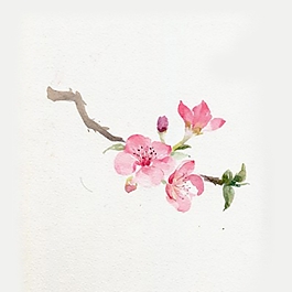 位圖 寫意花卉 植物 花朵 免費素材