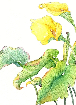 位圖 寫意花卉 植物 花朵 免費(fèi)素材