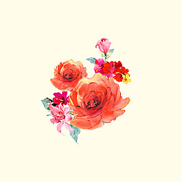 位圖 psd 植物 花朵 免費(fèi)素材