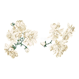 位圖 寫意花卉 植物 花朵 免費(fèi)素材