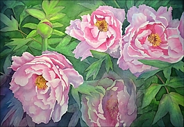 位圖 寫(xiě)意花卉 植物 花朵 免費(fèi)素材