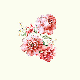 位圖 psd 植物 花朵 免費素材