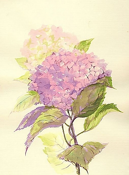 位圖 寫(xiě)意花卉 植物 花朵 免費(fèi)素材