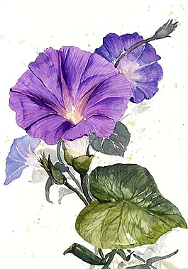 位圖 寫意花卉 植物 花朵 免費素材