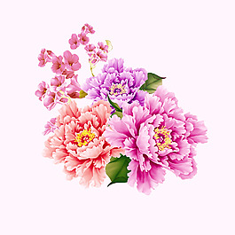 位圖 psd 植物 花朵 免費素材
