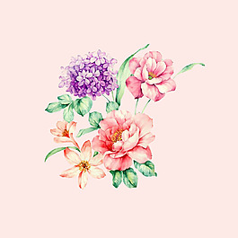 位圖 psd 植物 花朵 免費素材