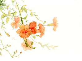 位圖 寫意花卉 植物 花朵 免費素材