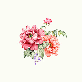 位圖 psd 植物 花朵 免費素材
