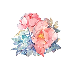 位圖 寫意花卉 植物 花朵 免費素材