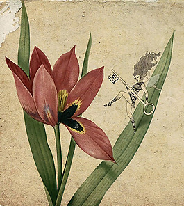 位圖 插畫 Sveta Dorosheva 以色列 免費素材
