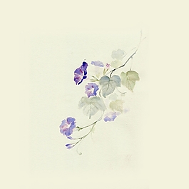 位圖 寫意花卉 植物 花朵 免費素材