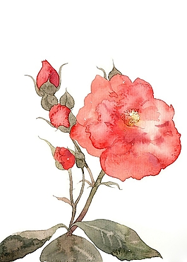 位圖 寫意花卉 植物 花朵 免費素材